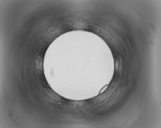 X0000111621251200908281105