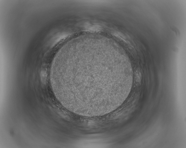 X0000111621254200908281105