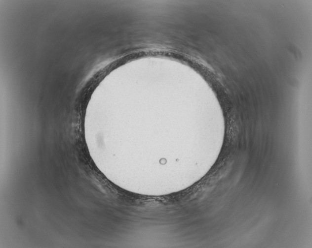 X0000111621255200908281105