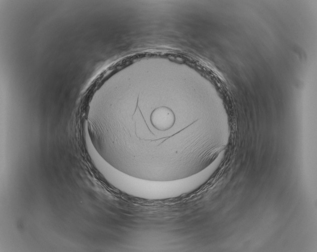 X0000111621256200908281105