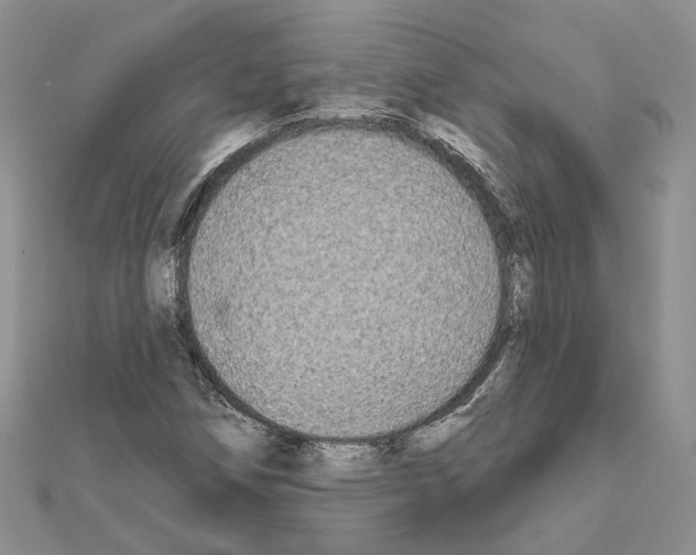 X0000111621258200908281105