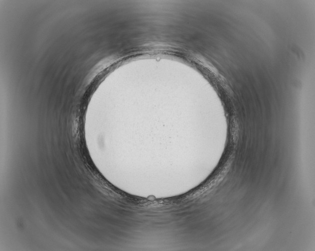 X0000111621259200908281105