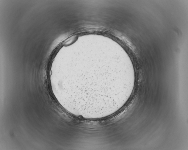 X0000111621261200908281105