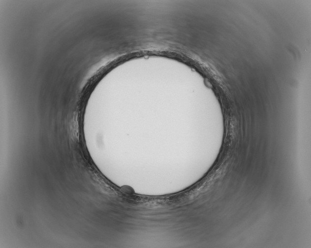 X0000111621262200908281105