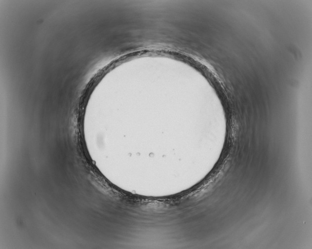 X0000111621263200908281105