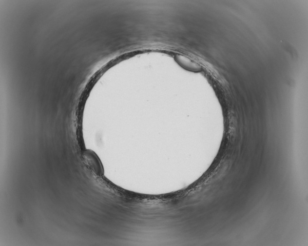 X0000111621264200908281105