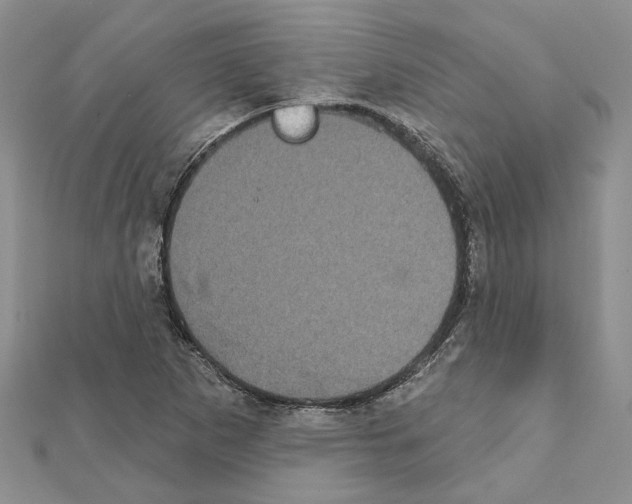 X0000111621265200908281105