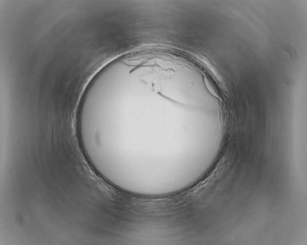 X0000111621268200908281105