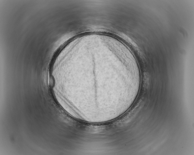 X0000111621269200908281105