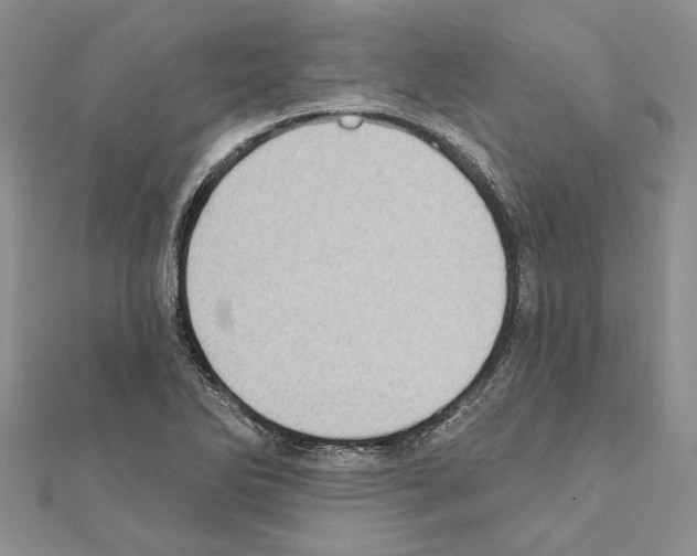 X0000111621270200908281105