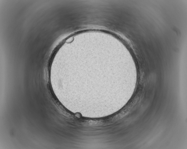 X0000111621271200908281105