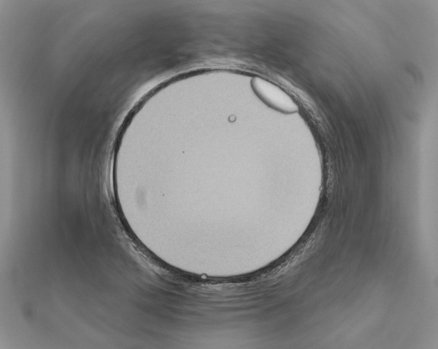 X0000111621272200908281105