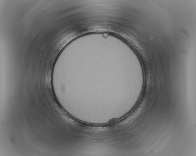 X0000111621273200908281105