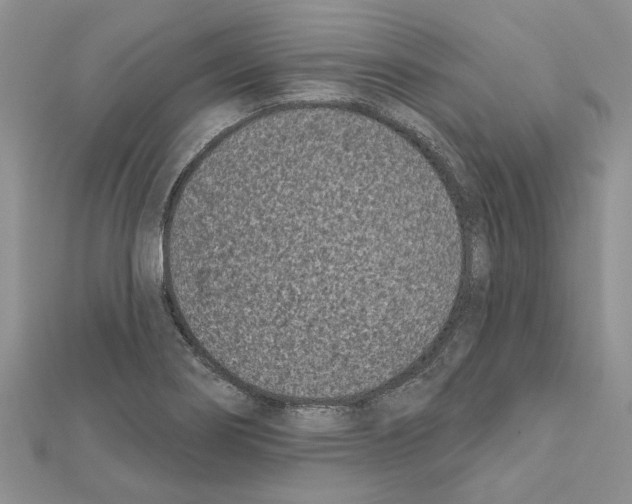 X0000111621274200908281105