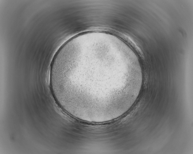 X0000111621276200908281105