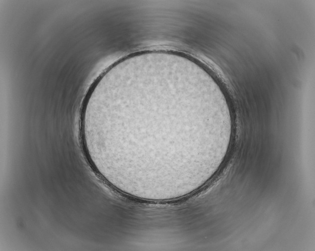 X0000111621277200908281105