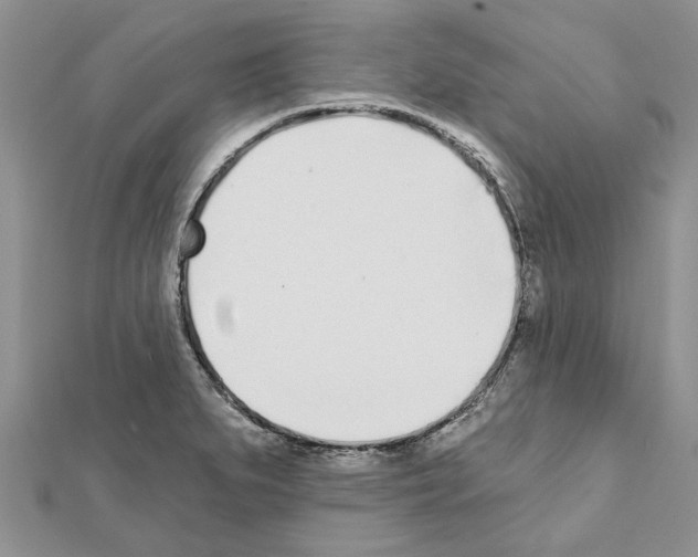 X0000111621279200908281105