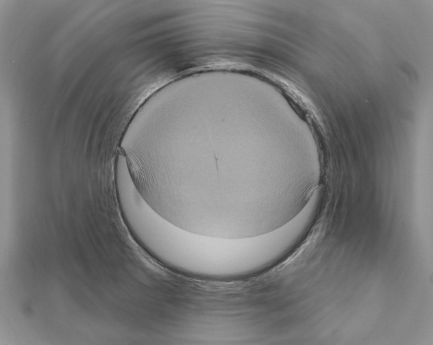 X0000111621281200908281105