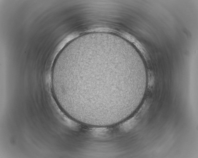 X0000111621282200908281105