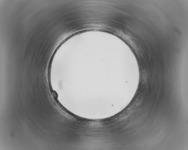 X0000111621283200908281105