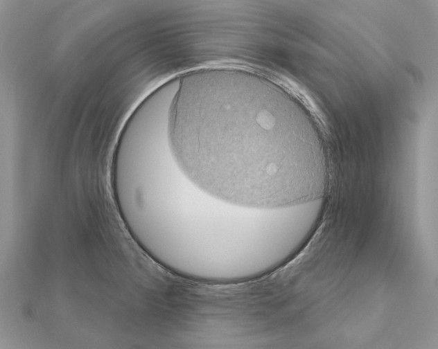 X0000111621284200908281105