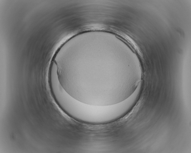 X0000111621285200908281105