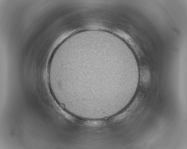 X0000111621286200908281105