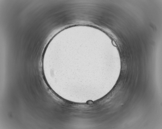 X0000111621287200908281105