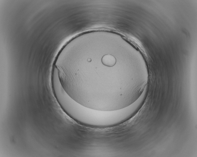 X0000111621288200908281105