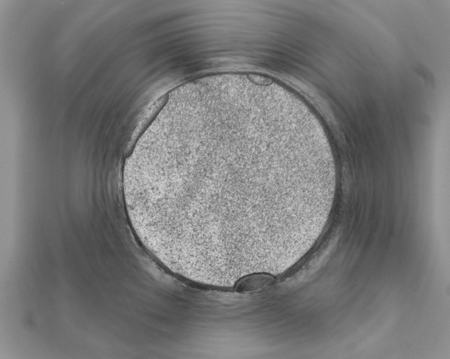 X0000111621289200908281105