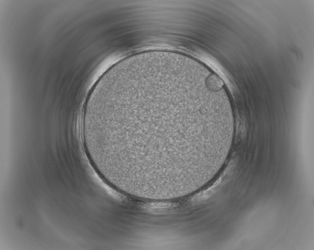 X0000111621290200908281105