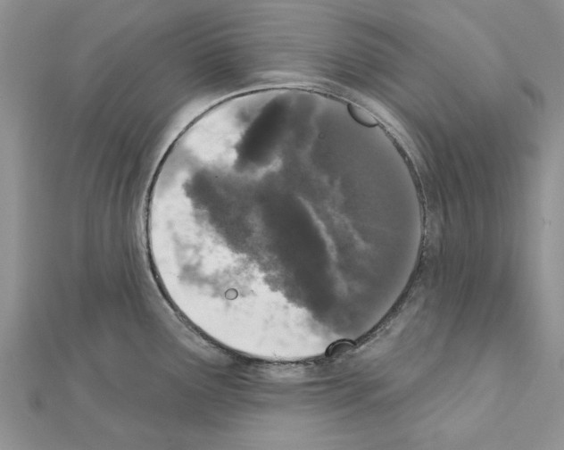 X0000111621291200908281105