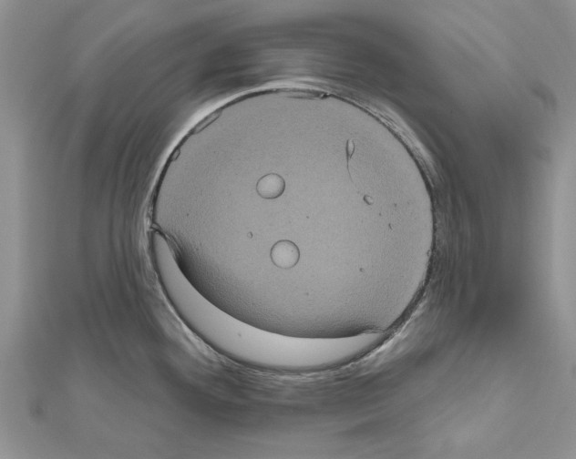 X0000111621292200908281105