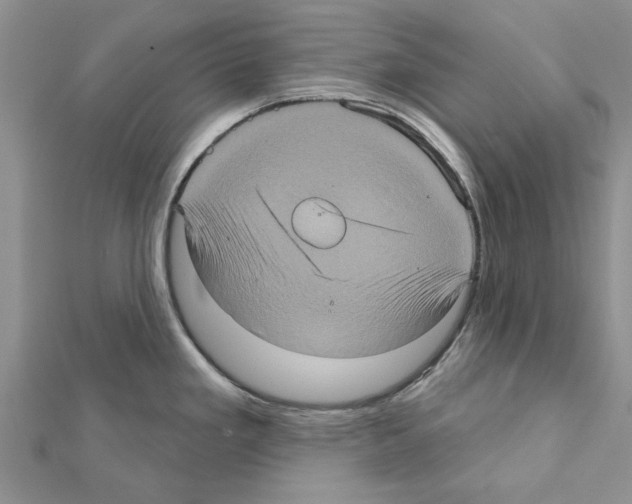 X0000111621293200908281105