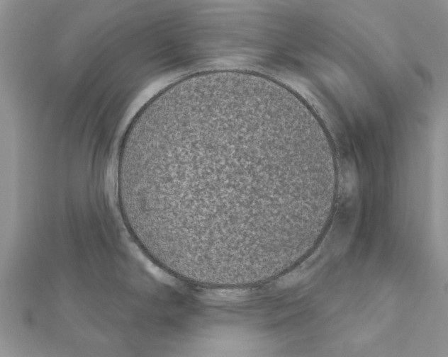 X0000111621294200908281105