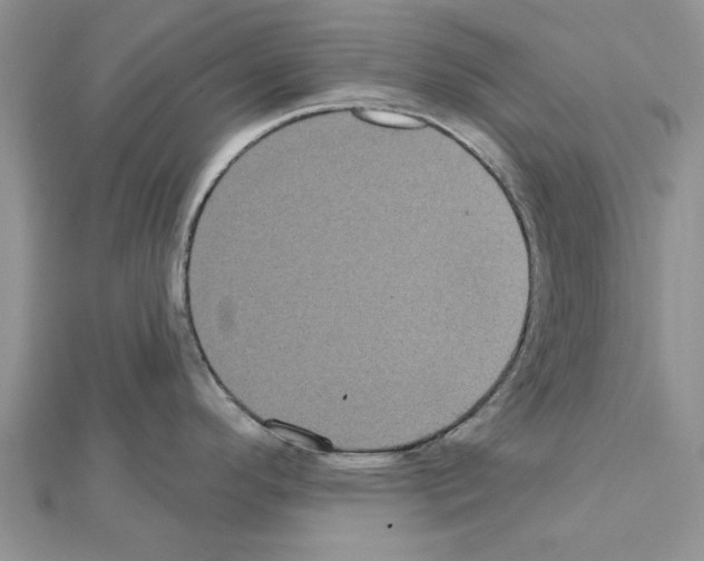 X0000111621296200908281105