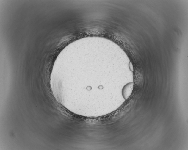 X0000111621297200908281104