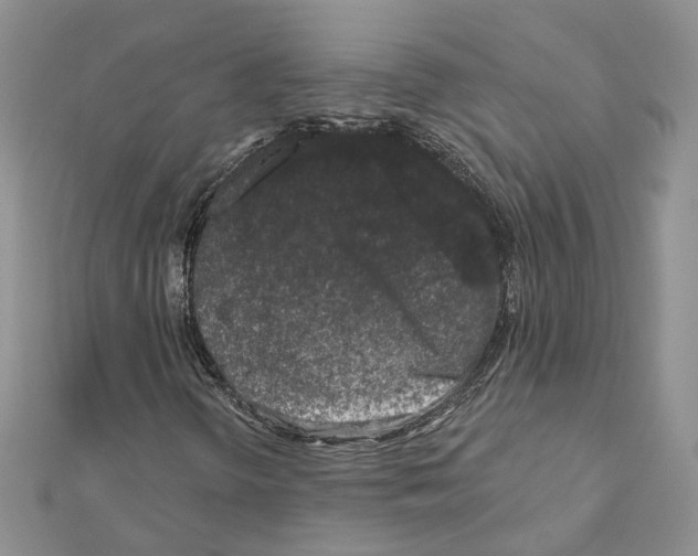 X0000111621298200908281104