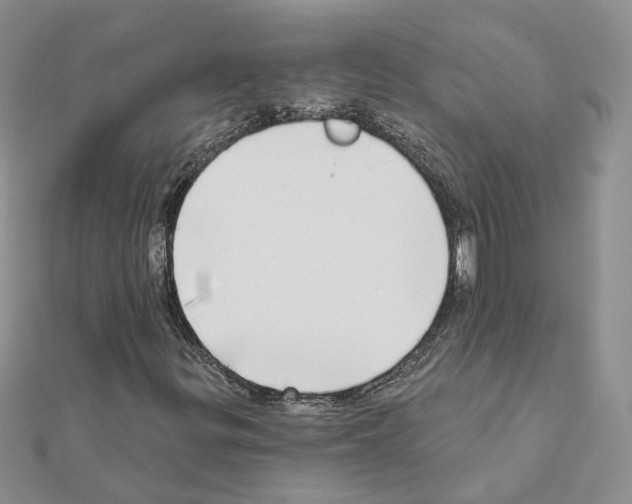 X0000111621299200908281104