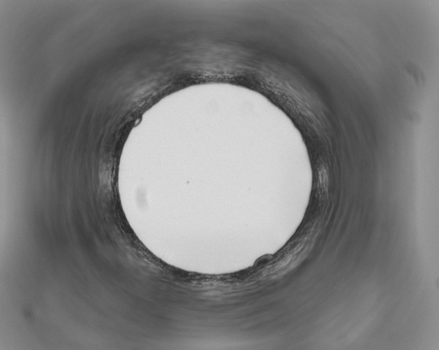 X0000111621300200908281104