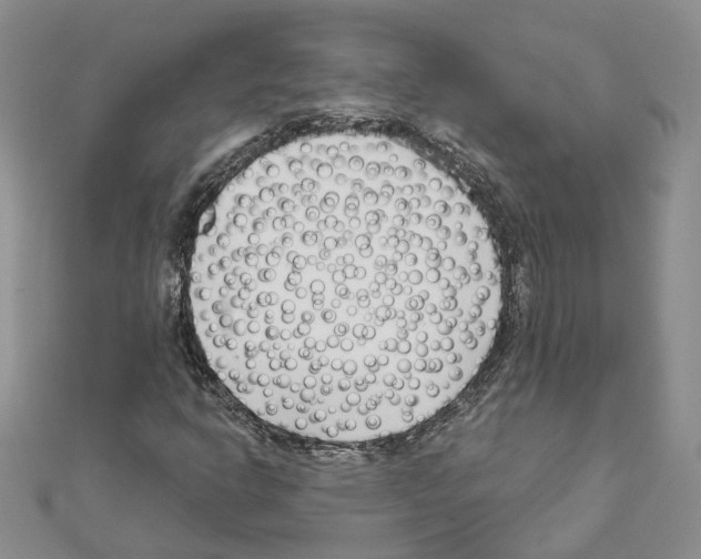 X0000111621302200908281104