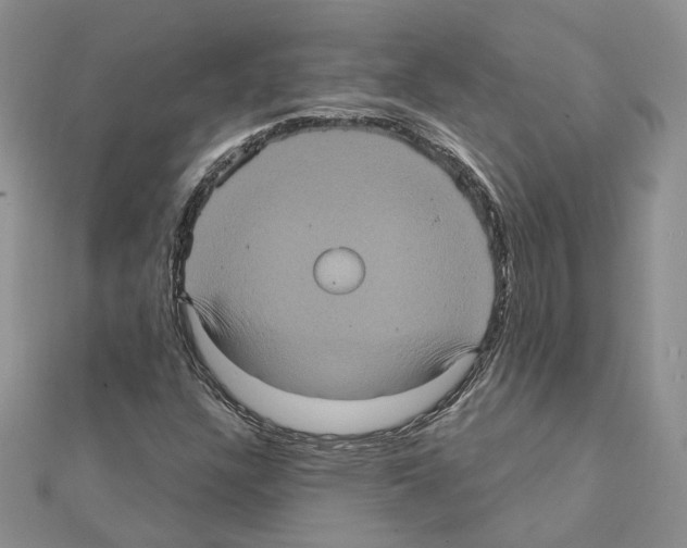 X0000111621304200908281104