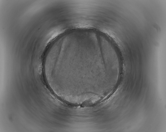 X0000111621306200908281104