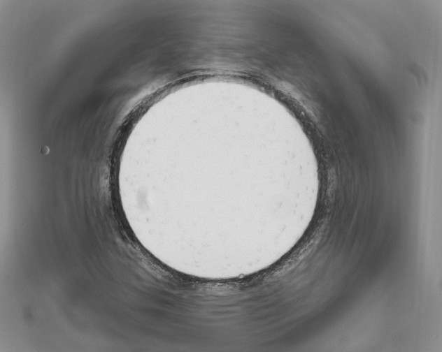 X0000111621307200908281104