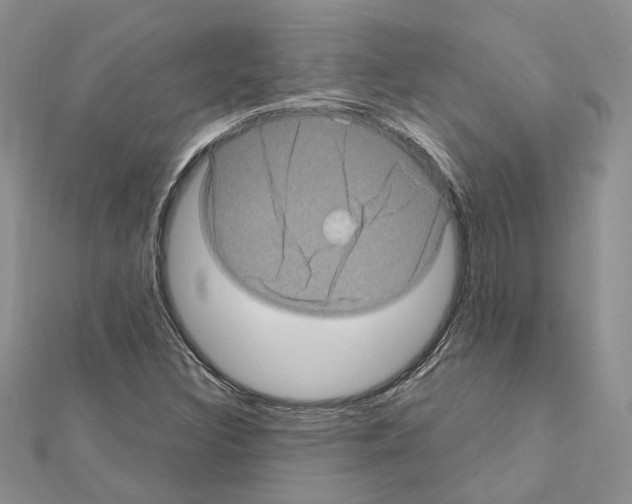 X0000111621308200908281104