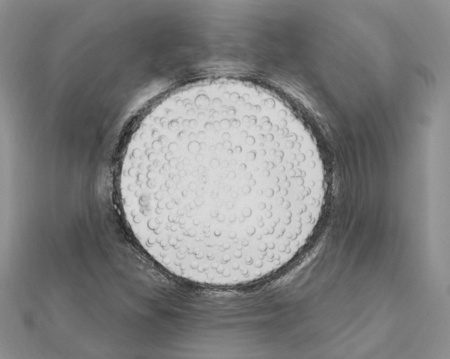 X0000111621309200908281104