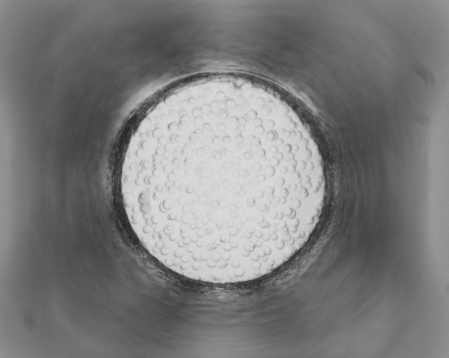 X0000111621311200908281104