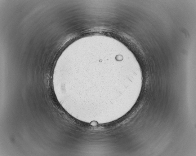 X0000111621313200908281104