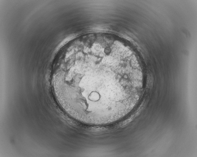 X0000111621314200908281104