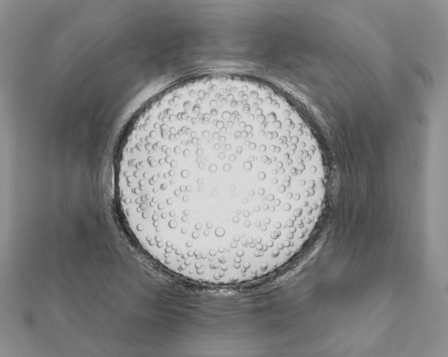 X0000111621317200908281104